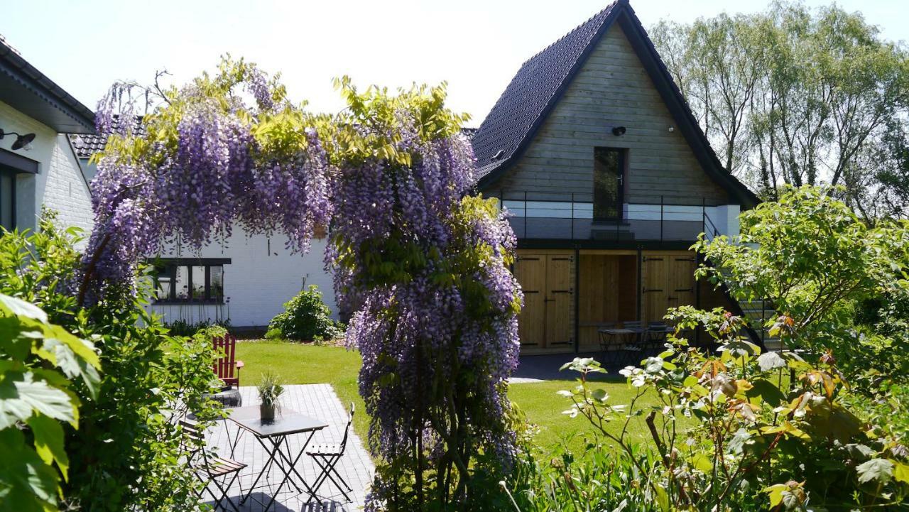 We Maison D'Hotes Кассель Екстер'єр фото